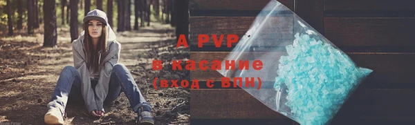 дмт Вяземский