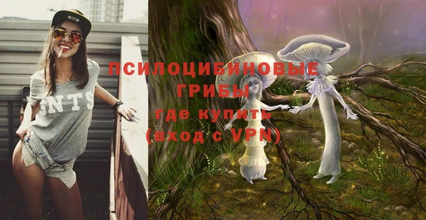 2c-b Вязьма
