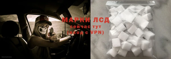 дмт Вяземский