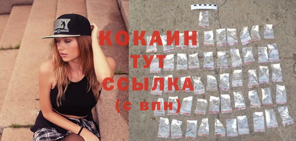 дмт Вяземский