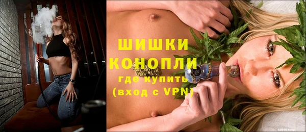 дмт Вяземский