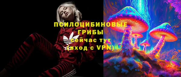 прущий лед Вязники
